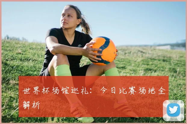 世界杯场馆巡礼：今日比赛场地全解析