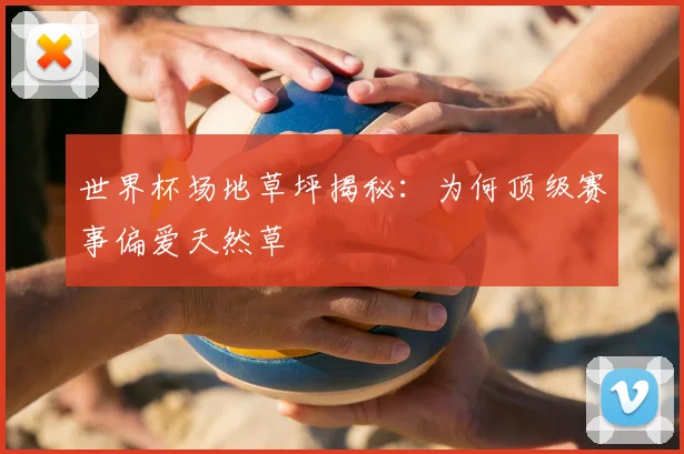 世界杯场地草坪揭秘：为何顶级赛事偏爱天然草
