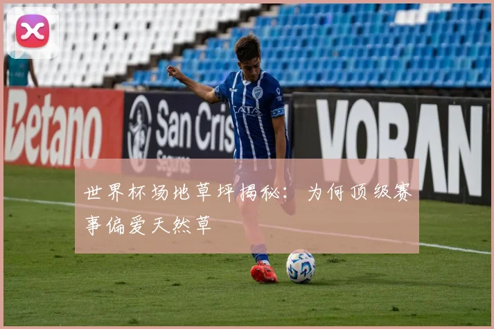 世界杯场地草坪揭秘：为何顶级赛事偏爱天然草