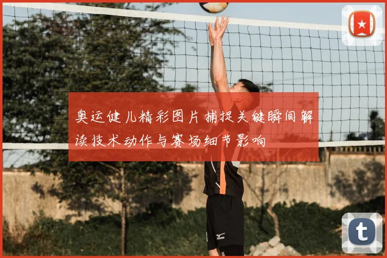 奥运健儿精彩图片捕捉关键瞬间解读技术动作与赛场细节影响
